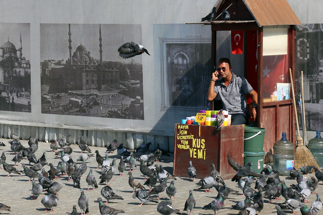 Hasan Mutlu'dan Çarpıcı Tutuksuz Yargılanma Çağrısı!
