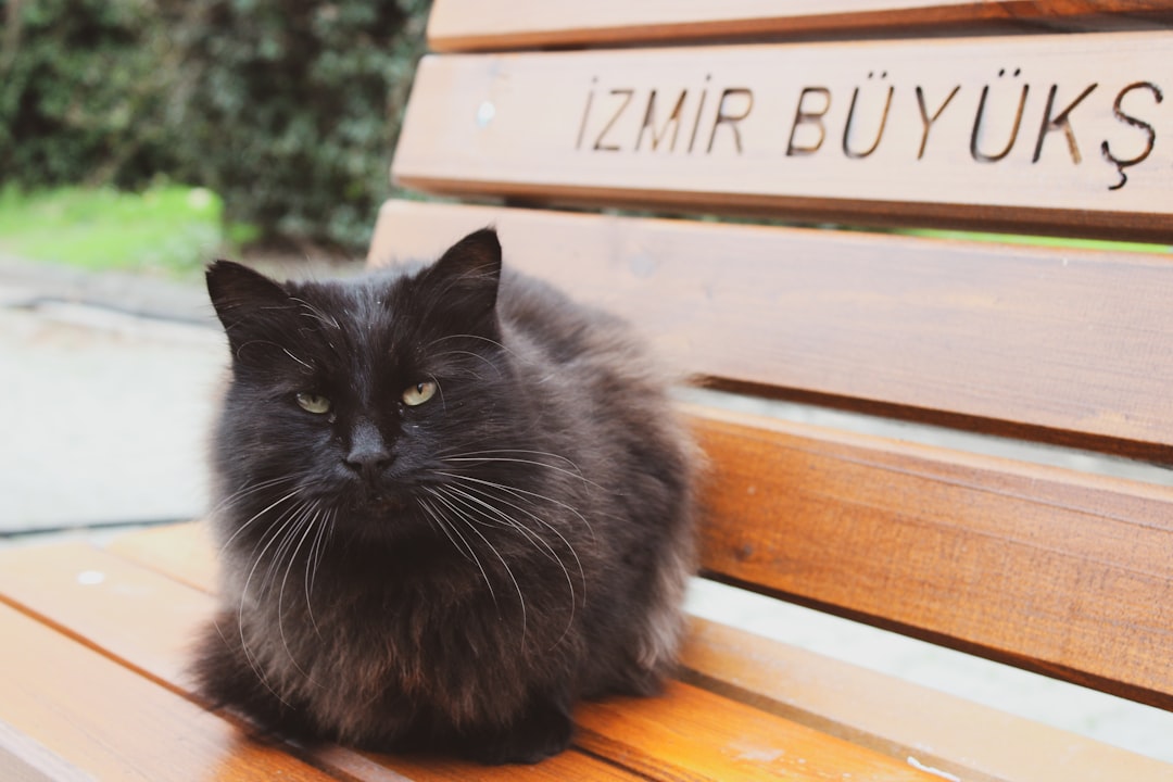 İzmir Büyükşehir’de ‘Devir’ Krizi: AKP ile CHP Arasında Söz Hakkı Savaşı!